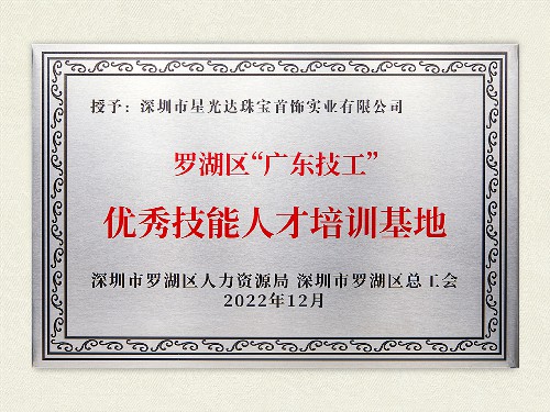 罗湖区“广东技工”优秀技能人才培训基地