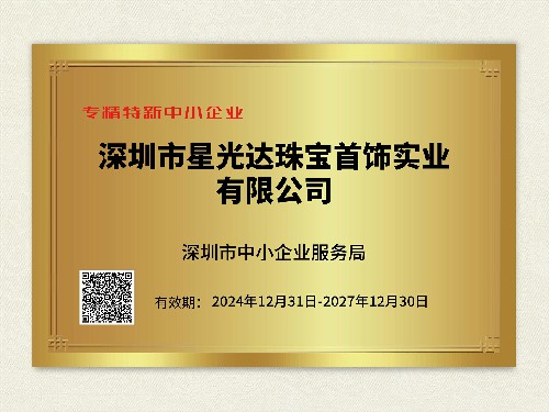 深圳市专精特新中小企业