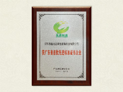 2021年广东省首批先进标准证书企业
