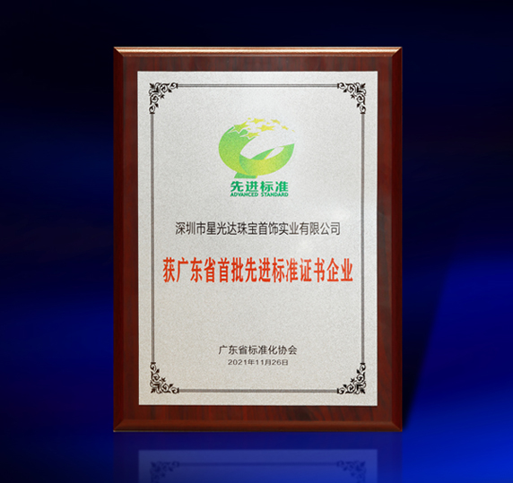 广东省首批先进标准证书企业